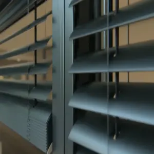 Venetian blinds
