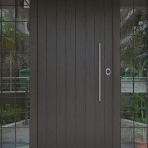 Security Door Plain